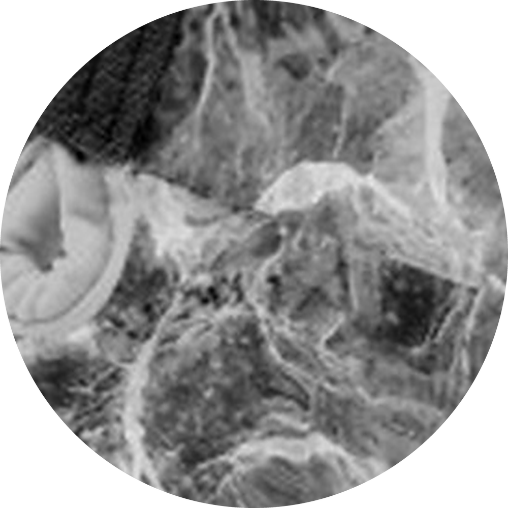 chip:Grey Marble
