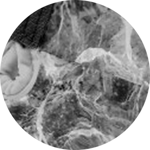 chip:Grey Marble