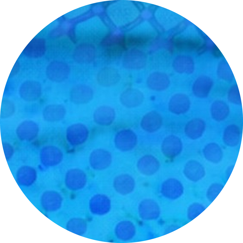 chip:Blue Bubble